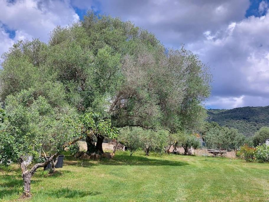 Olbia Grazioso Bilo In Periferia Villa Sole Ruiu Exterior photo